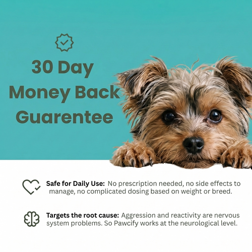 Pawcify Natural Hemp Dog Calming Chews